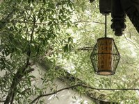 论“意象”范畴的发展历程