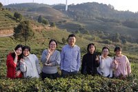 观日出探古韵 赏风电悟融合