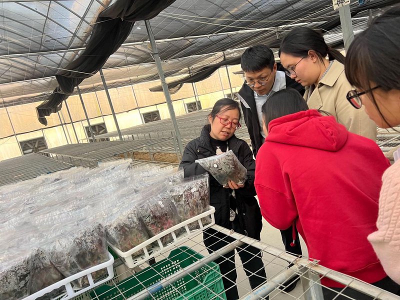 a81836df3db9618a54cb9e2c15046e4a