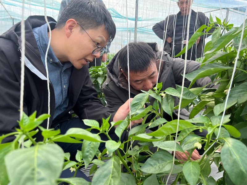 825d45f1790cbe5cb62284fdf082748a