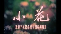 桐柏有朵“小花”,从烽火里开成了时代的光
