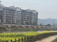 青春践初心,红圩传薪火