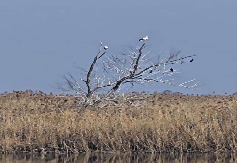 401ac87bfb17fb228c91661361674aed