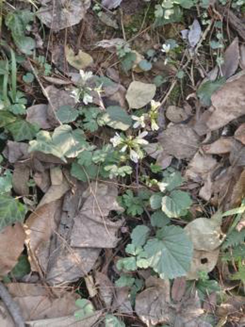 4f386609477103f0f94d4db69ee6dbcf