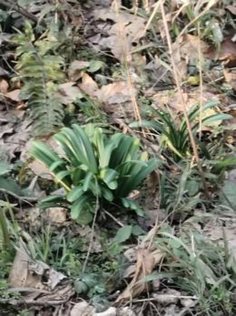 26eb5d67481f1c128b4a5bdebb70aab6