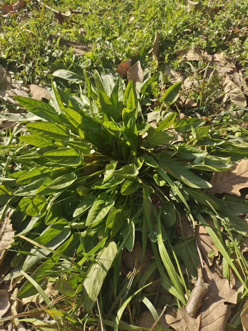 ec1f8d44d3dfe7514ffc17d4321e179f