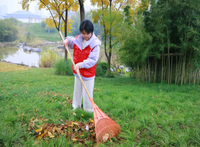 沉浸式体验生态魅力，践行绿色环保理念 ——成都理工大学“候鸟计划”团队开展竹文化公园生态调研活动