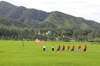 行走的思政大讲堂——皖西学院“青檀新火”实践团赴宣城泾县开展非遗文脉传承社会实践