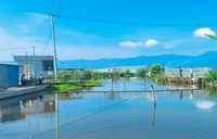 青春赴乡野，实践绘新篇