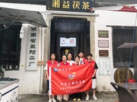 古丝绸路金花香——湘大学子探访明清古巷国家级非遗湘益茯茶