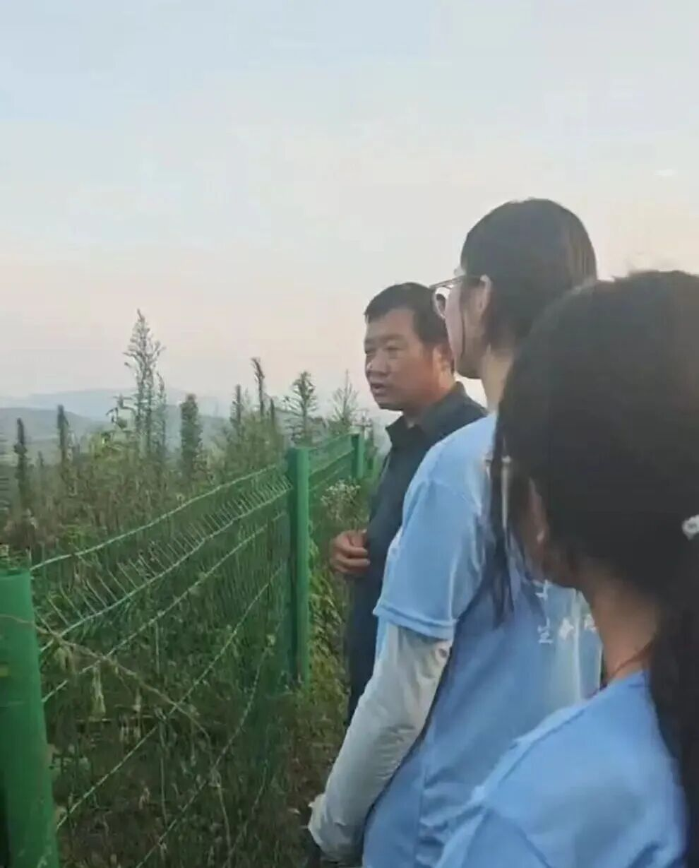 图片6