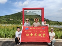 深耕南阳方城艾草沃土 青年学子解锁中医药文旅融合新业态