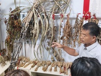 学习榜样精神，汲取奋进力量 ——青岛科技大学实践团走进杜立芝党代表工作室