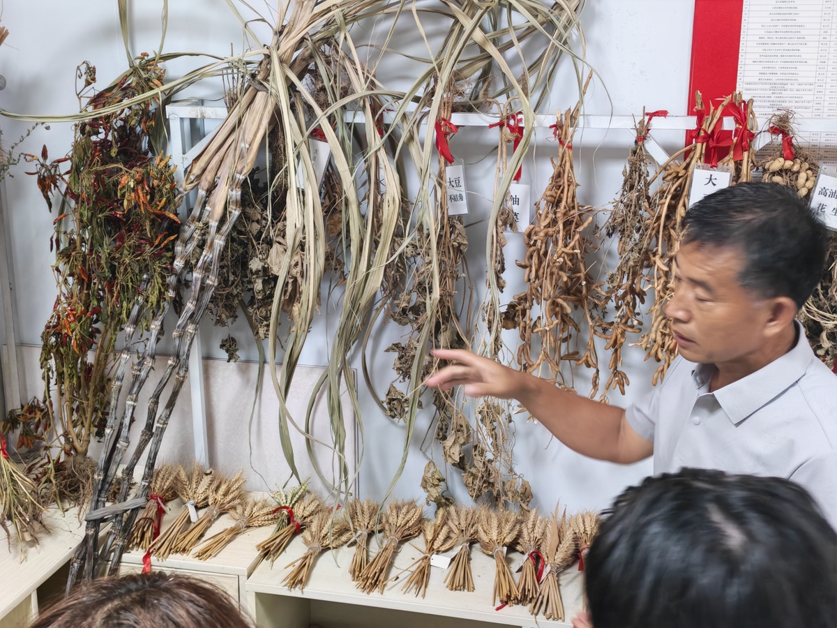 学习榜样精神,汲取奋进力量 ——青岛科技大学实践团走进杜立芝党代表工作室
